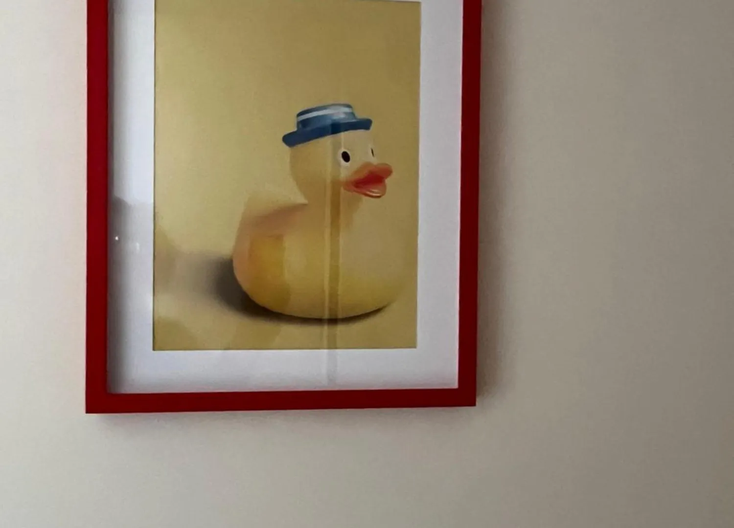 Duck House Gemelli contacts